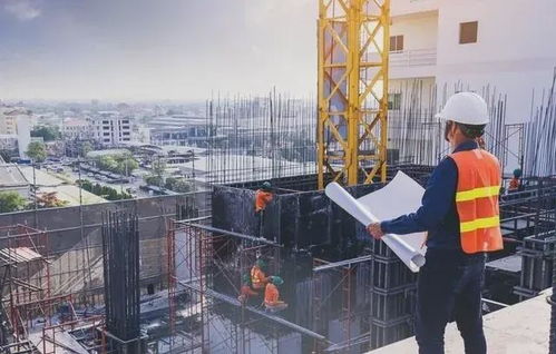 大环境下行，多所高校撤销工程类专业 土木工程与建筑工程施工的挑战与转型